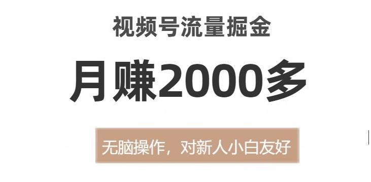 视频号流量掘金，无脑操作，对新人小白友好，月赚2000多【揭秘】-数智网创