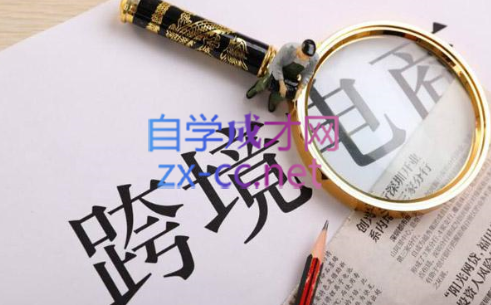 帮课大学VIP会员课程(更新10月)-数智网创