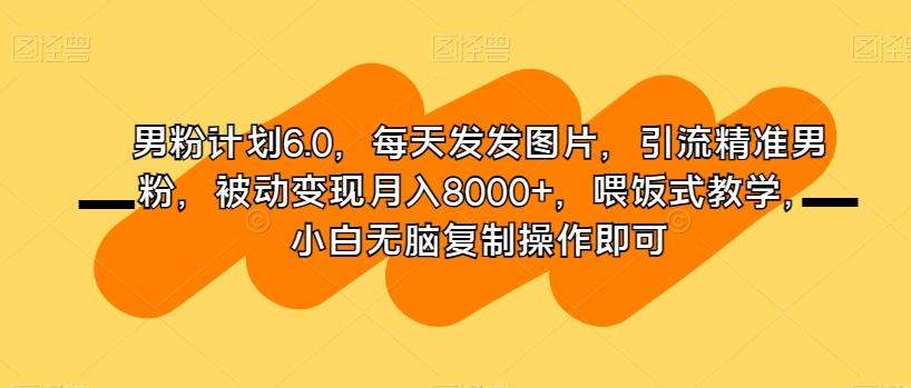 男粉计划6.0，每天发发图片，引流精准男粉，被动变现月入8000+，喂饭式教学，小白无脑复制操作即可-数智网创