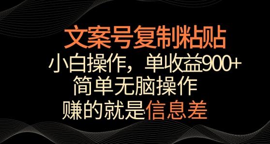 文案号掘金，简单复制粘贴，小白操作，单作品收益900+【揭秘】-数智网创