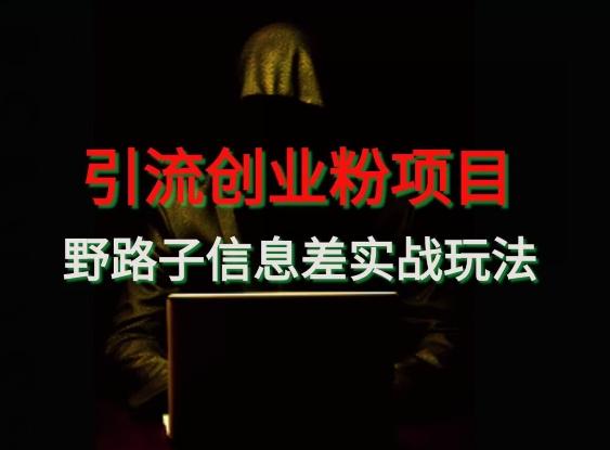 【引流创业粉】野路子信息差玩法实战教学-数智网创