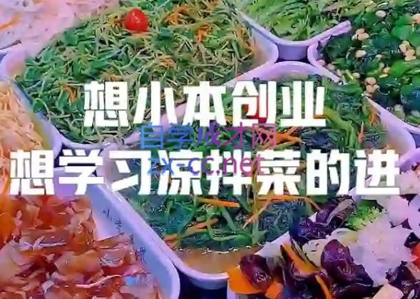 李记·精品凉拌菜系列热卤系列教程-数智网创