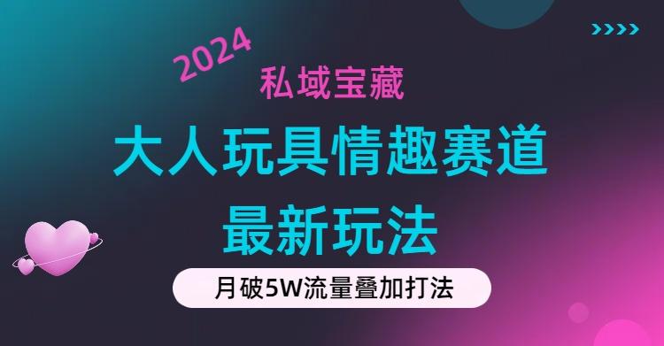 私域宝藏：大人玩具情趣赛道合规新玩法，零投入，私域超高流量成单率高-数智网创
