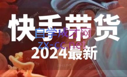 快手带货(2024最新)-数智网创