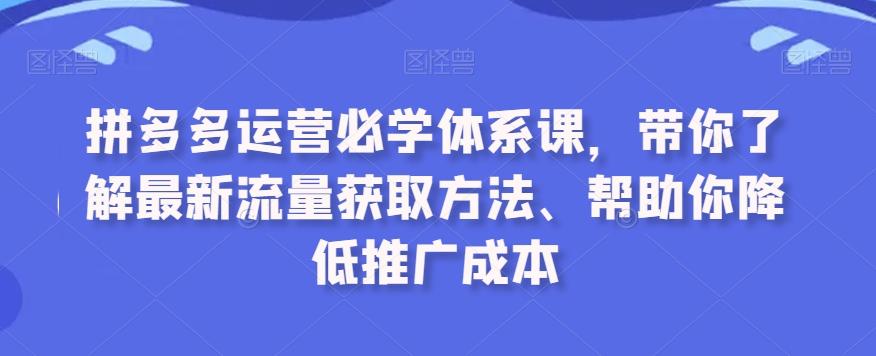 拼多多运营必学体系课，带你了解最新流量获取方法、帮助你降低推广成本-数智网创