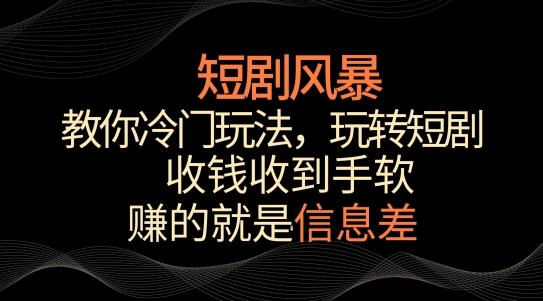 短剧风暴，教你冷门玩法，玩转短剧，收钱收到手软【揭秘】-数智网创