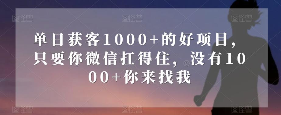 单日获客1000+的好项目，只要你微信扛得住，没有1000+你来找我【揭秘】-数智网创