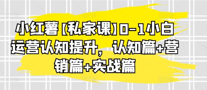 小红薯【私家课】0-1小白运营认知提升，认知篇+营销篇+实战篇-数智网创