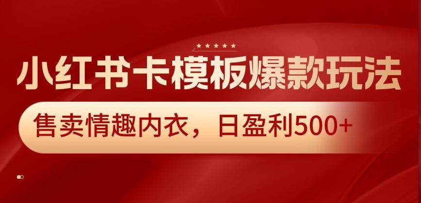 小红书卡模板爆款玩法，售卖情趣内衣，日盈利500+【揭秘】-数智网创