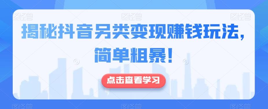揭秘抖音另类变现赚钱玩法,简单粗暴!-数智网创