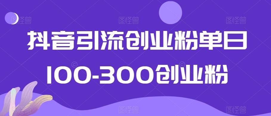 抖音引流创业粉单日100-300创业粉【揭秘】-数智网创