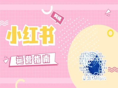 小红书运营指南，没有套路，全是经验-数智网创