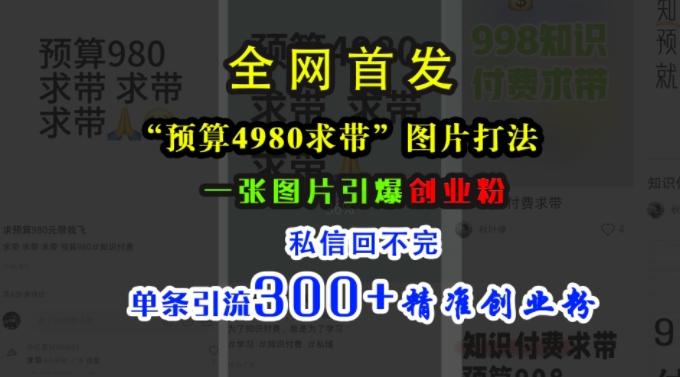 小红书“预算4980带我飞”图片打法，一张图片引爆创业粉，私信回不完，单条引流300+精准创业粉-数智网创