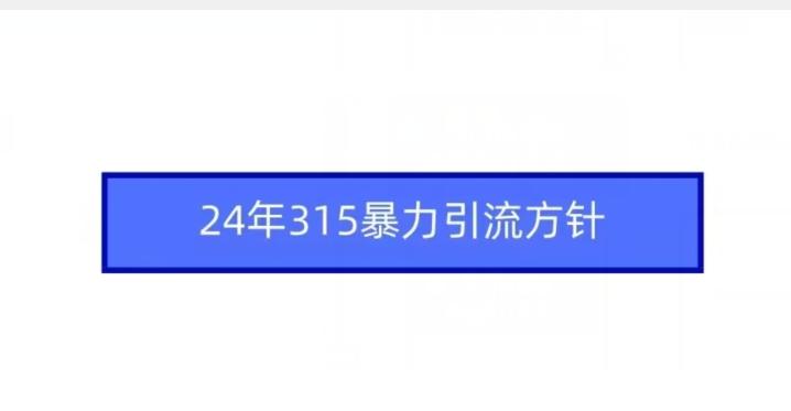 24年315暴力引流方针-数智网创