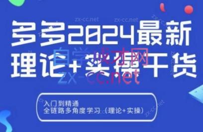 拼多多2024最新规则理论结合实际的干货-数智网创