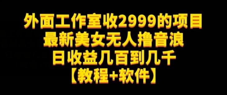 外面工作室收2999的项目最新美女无人撸音浪日收益几百到几千【教程+软件】（仅揭秘）-数智网创