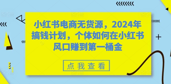 小红书电商无货源，2024年搞钱计划，个体如何在小红书风口赚到第一桶金-数智网创