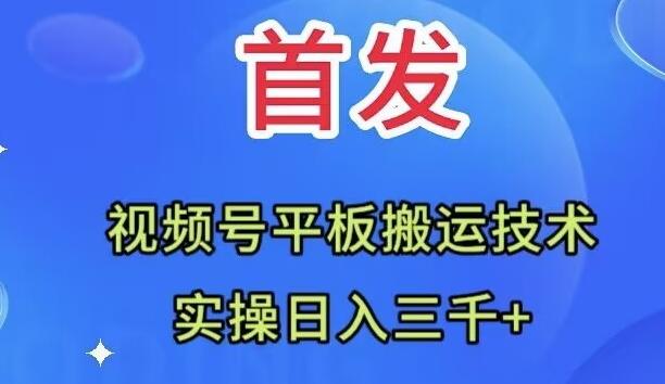 全网首发：视频号平板搬运技术，实操日入三千＋-数智网创