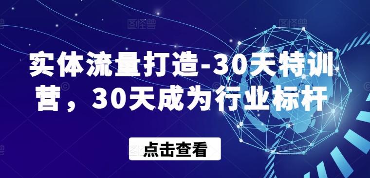 实体流量打造-30天特训营，30天成为行业标杆-数智网创