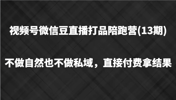 视频号微信豆直播打品陪跑(13期)，不做不自然流不做私域，直接付费拿结果-数智网创