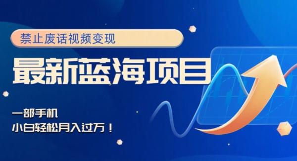 最新蓝海项目，靠禁止废话视频变现，一部手机，小白轻松月入过万！-数智网创