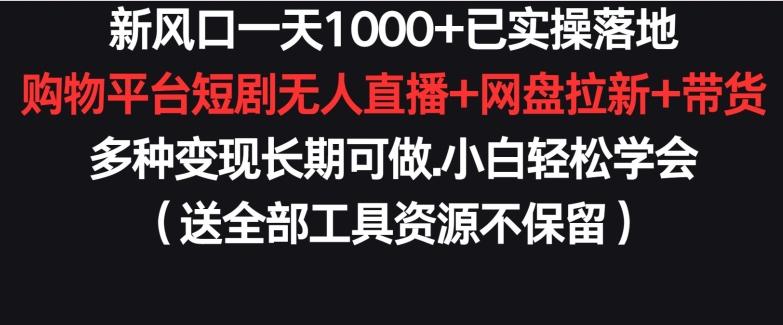 新风口一天1000+已实操落地购物平台短剧无人直播+网盘拉新+带货多种变现长期可做【揭秘】-数智网创