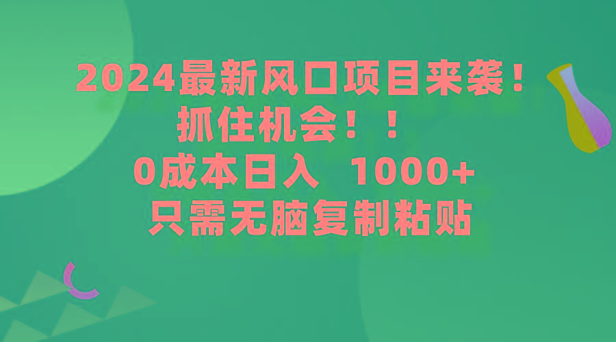 (9899期)2024最新风口项目来袭，抓住机会，0成本一部手机日入1000+，只需无脑复…-数智网创