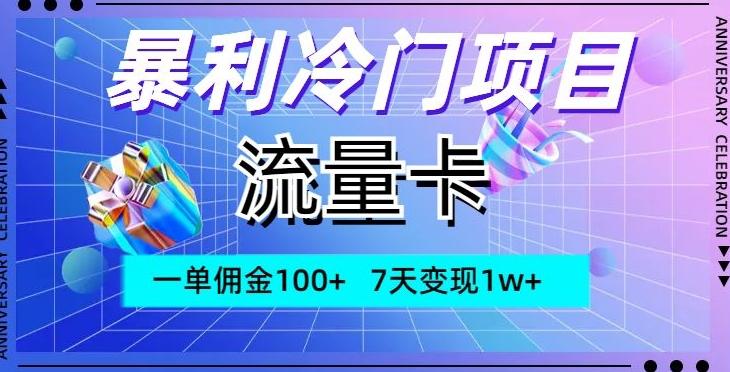 暴利冷门项目，流量卡，一单佣金100+，7天变现1w+-数智网创