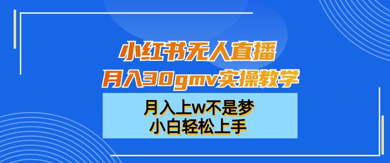 小红书无人直播月入30gmv实操教学，月入上w不是梦，小白轻松上手【揭秘】-数智网创