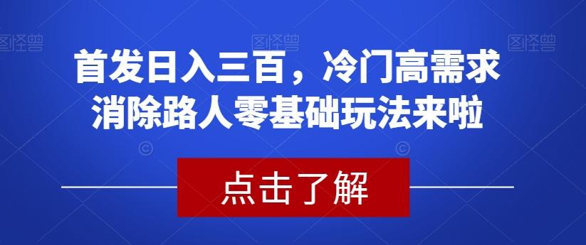 首发日入三百,冷门高需求消除路人零基础玩法来啦【揭秘】-数智网创