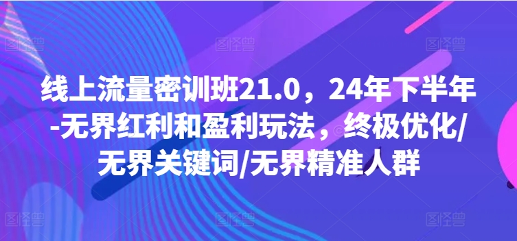 线上流量密训班21.0，24年下半年-无界红利和盈利玩法，终极优化/无界关键词/无界精准人群-数智网创