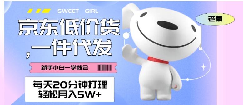 每天20分钟打理京东低价货,一件代发-轻松月入5W+-数智网创