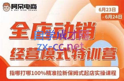 阿呆电商·全店动销经营模式特训营(线下录音+思维导图)-数智网创