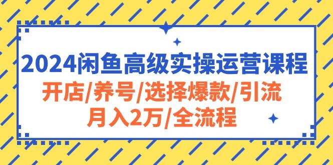 2024闲鱼高级实操运营课程：开店/养号/选择爆款/引流/月入2万/全流程-数智网创