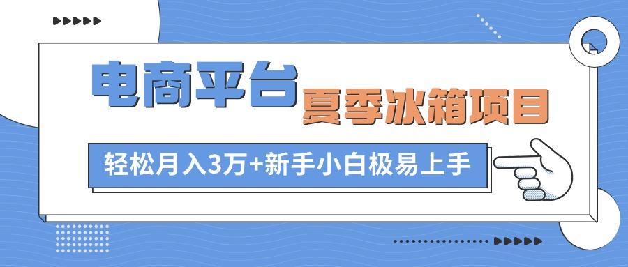 电商平台夏季冰箱项目，轻松月入3万+，新手小白极易上手-数智网创