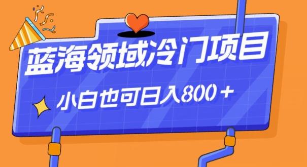 蓝海领域冷门赛道，一单39.9，日入800＋-数智网创