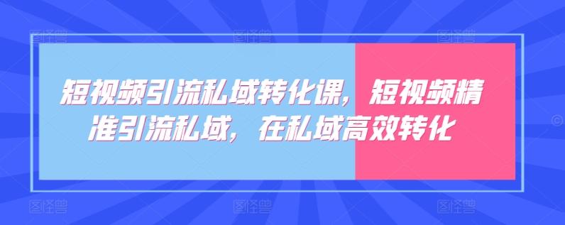 短视频引流私域转化课，短视频精准引流私域，在私域高效转化-数智网创