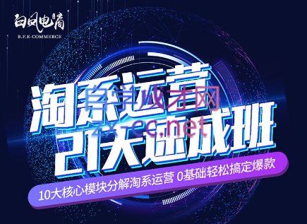 淘系运营21天速成班(更新7月)-数智网创