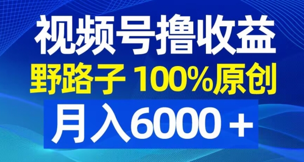 视频号野路子撸收益，100%原创，条条爆款，月入6000＋【揭秘】-数智网创