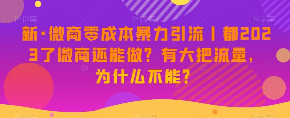 新·微商零成本暴力引流丨都2023了微商还能做？有大把流量，为什么不能？-数智网创