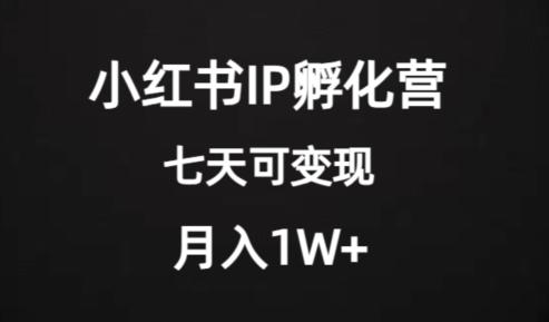 价值2000+的小红书IP孵化营项目，超级大蓝海，七天即可开始变现，稳定月入1W+-数智网创