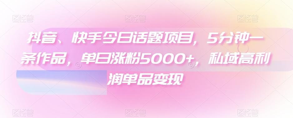 抖音、快手今日话题项目，5分钟一条作品，单日涨粉5000+，私域高利润单品变现-数智网创