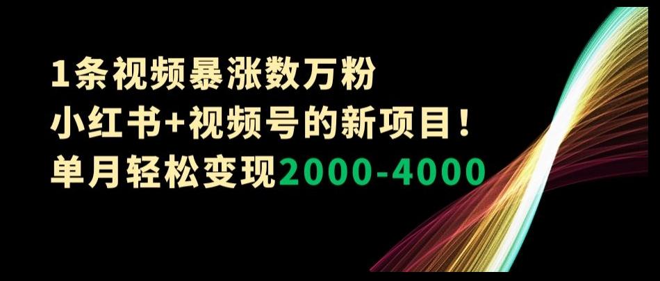 1条视频暴涨数万粉–小红书+视频号的新项目！单月轻松变现2000-4000【揭秘】-数智网创