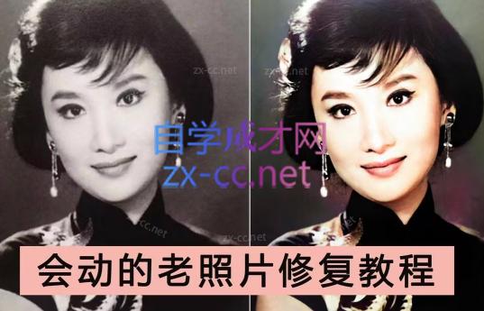 AI老相片视频变现训练营-数智网创