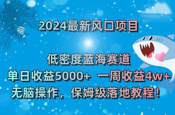 2024最新风口项目，低密度蓝海赛道，单日收益5000+，一周收益4w+！【揭秘】-数智网创