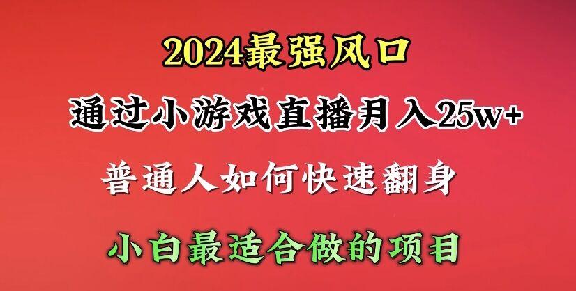 (10020期)2024年最强风口，通过小游戏直播月入25w+单日收益5000+小白最适合做的项目-数智网创