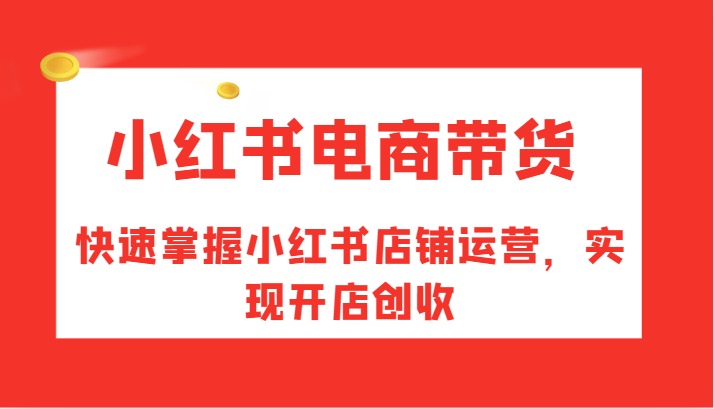 小红书电商带货，快速掌握小红书店铺运营，实现开店创收-数智网创