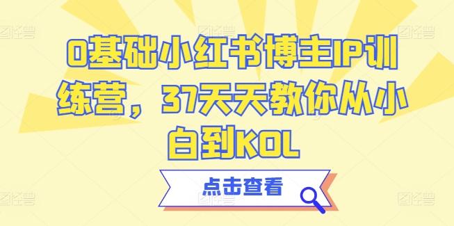 0基础小红书博主IP训练营，37天天教你从小白到KOL-数智网创