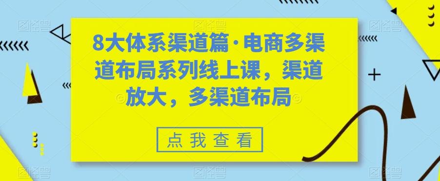 8大体系渠道篇·电商多渠道布局系列线上课，渠道放大，多渠道布局-数智网创