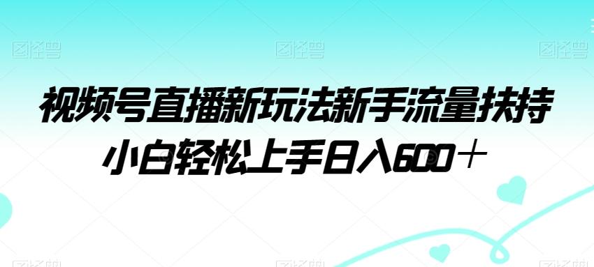 视频号直播新玩法新手流量扶持小白轻松上手日入600＋【揭秘】-数智网创
